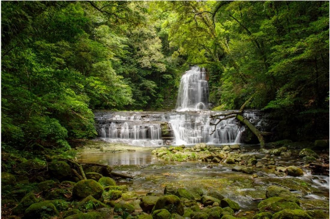 【九州】海と森が交わる宮崎・日南市　自然と温泉を軸にしたウェルネス旅