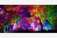 州都「パース」の広大な都市公園「キングスパーク」を光のアートが彩る 没入型イベント『ライトスケープ 2026』6月5日(金)から開催