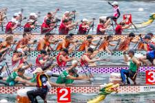 今年50周年を迎える「2026サンライフ 香港国際ドラゴンボートレース」開催