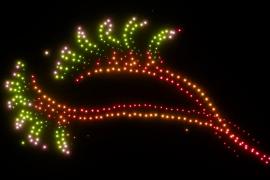 世界屈指のワイルドフラワーの楽園　西オーストラリア 州都「パース」に開花シーズン到来！植物・サウンドスケープ・ドローンが織りなす没入型体験が初登場！