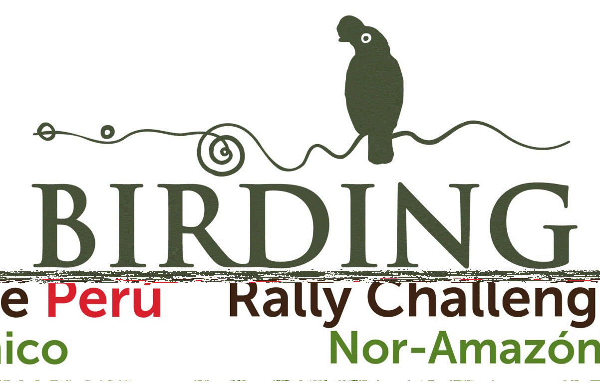 世界屈指の野鳥王国ペルーの北部地域を舞台に「バードウォッチング・ラリー・チャレンジ2013」を開催