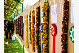 ハワイの花の首飾り、レイを讃える祭典「レイ・デー・セレブレーション」