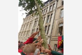 ブリュッセルの伝統の祭り「メイ・ブーム」