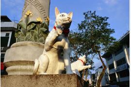   「猫」の意味を持つ町、クチンで開催されるクチン・フェスティバル