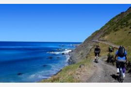 2014年はニュージーランドのサイクルトレイルが熱い