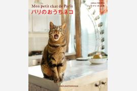 ニャンとも可愛い！パリのネコたち50匹大集合の写真集『パリのおうちネコ』