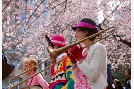 4万本以上の桜が楽しめる「バンクーバーの桜祭り」