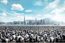 1600頭のパンダが香港上陸！？！ 