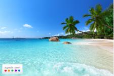 今年イチオシの一度は訪れたい美しいビーチ - インド洋に浮かぶ楽園セーシェル諸島