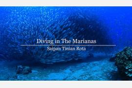 マリアナの驚くべき水中絶景の動画を公開