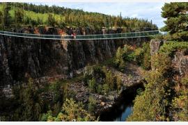 スリリングな体験を満喫できるカナダ・オンタリオ州のアドベンチャー旅！ ～国内最長の吊り橋ウォークやナイアガラの滝でのジップラインなど多彩なアクティビティを体験～