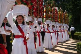 絶対に見たい！ ポルトガル最大・4年に1度のカラフルなお祭り