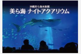 沖縄美ら海水族館で「美ら海ナイトアクアリウム」を開催