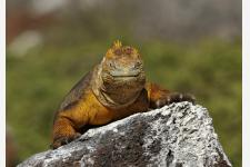 シックスセンシズ 　世界自然遺産の南米ガラパゴス諸島に初進出！