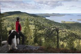環境にやさしい観光活動を促す「サステナブル・トラベル・フィンランド プログラム」