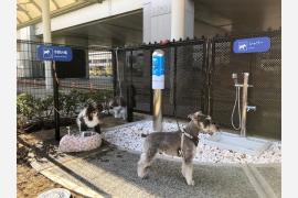 大阪国際空港内に国内空港初となる「愛犬専用トイレ」を設置