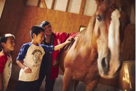 青森屋が子供の成長を後押しするプログラム「馬っこ博士」を実施