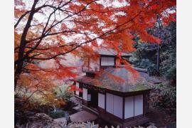 国指定名勝の横浜「三溪園」で紅葉の時期に古建築を公開