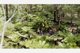 体験しながら自然に還元するオーストラリアの新しいエコ観光アトラクション