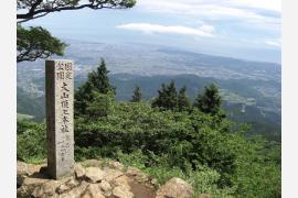 自然の涼を感じられるスポット「丹沢・大山に行こう！」