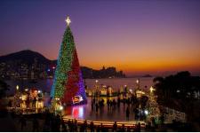 香港のクリスマスシーズンの楽しみ方①