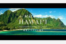マラマハワイ動画が再生回数100万回を突破！2021年の動画再生ランキングを発表