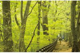 東京都公園協会「第18回・森の地図スタンプラリー」開催