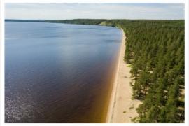 夏はフィンランドでビーチを満喫！ Visit Finlandがおすすめするビーチ6選をご紹介