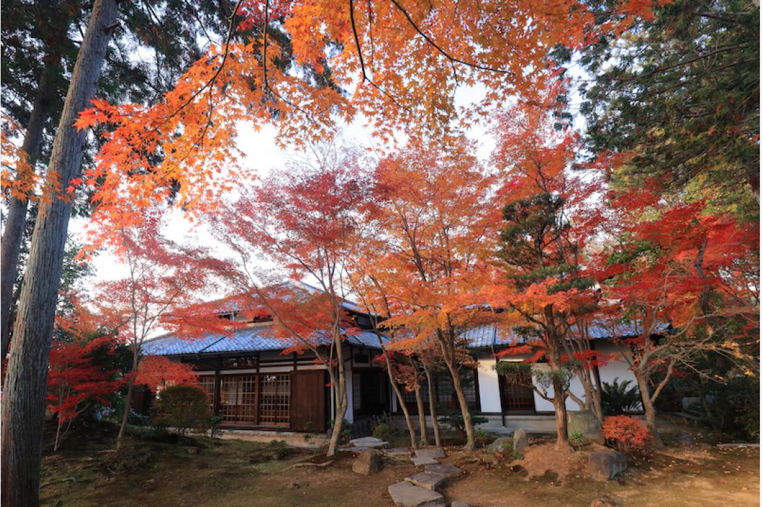 通常非公開！京都の秋の特別拝観３選