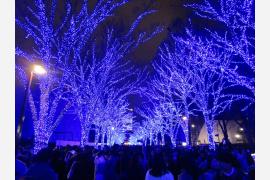 幻想的な青い光のライトアップ『青の洞窟 SHIBUYA』 12月8日（木）より開催