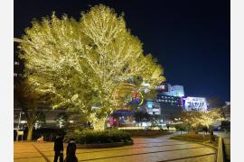 博多〜中洲〜天神の光の道！福岡市の清流公園にイルミネーションが登場