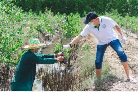 チバソム 「マングローブ生態系保護の国際デー」を記念 マングローブ植林とチャリティディナー