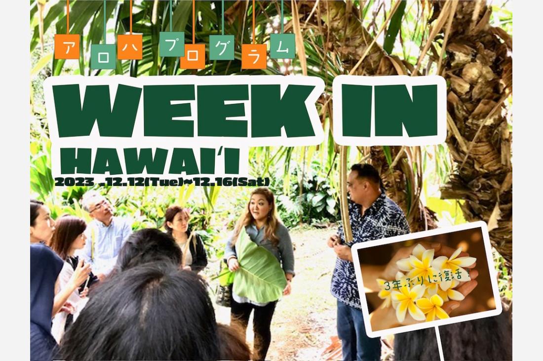 「アロハプログラム Week in ハワイ2023」が3年ぶりに開催決定