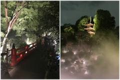 雲海を見て、触れることができる庭園散策。