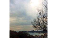 Photo by Yoko Iwabuchi