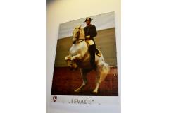LEVADE