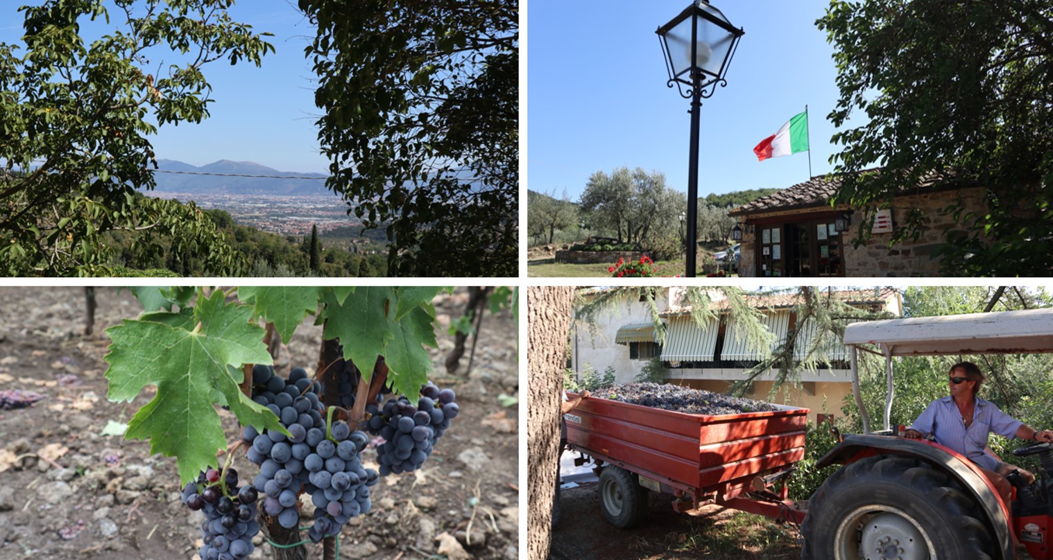９月初旬に訪れたシチリアとトスカーナのワイナリー。少し早めにブドウの収穫を迎えるワイナリーもあり、実りの秋を実感する。