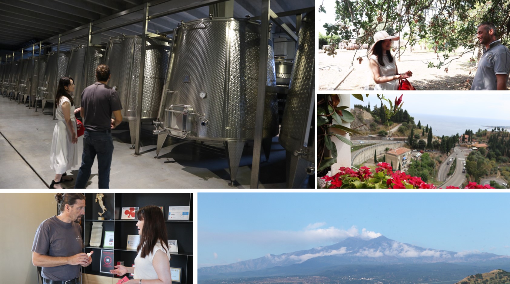 シチリア東部に位置するエトナ火山のふもとはワインの銘醸地。溶岩を含んだ土地が生むワインにはミネラルが豊富とのこと。独特な風味と上品かつ力強い口当たりはそこから来ているのか。