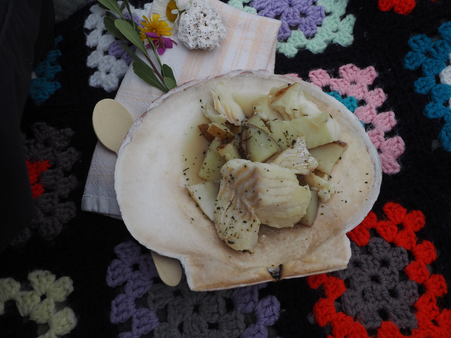 △タラとジャガイモを鍋で煮た料理は、ホタテの貝の皿で振る舞われた（７月、セントジョンズ近郊で筆者撮影）