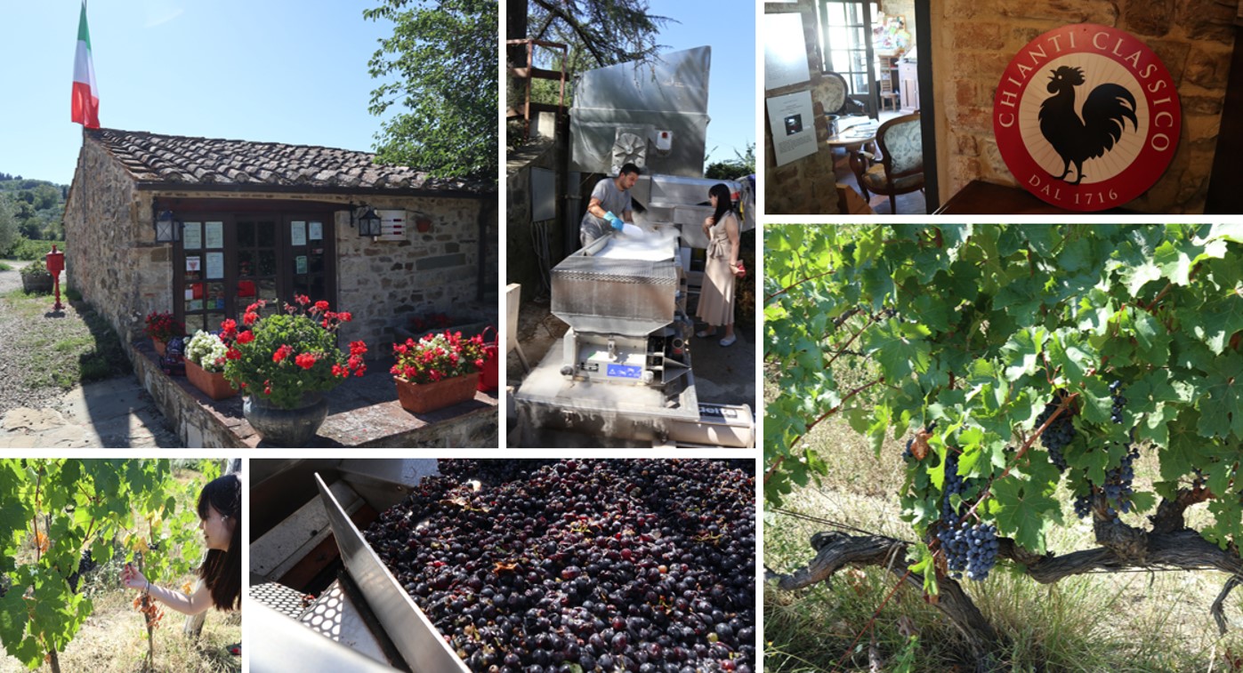 フィレンツェから車で１時間ほどで訪れることができる地に、ブドウ畑やオリーブ畑などが広がる。ここからキャンティをはじめイタリアが誇るトスカーナワインが生まれる。
