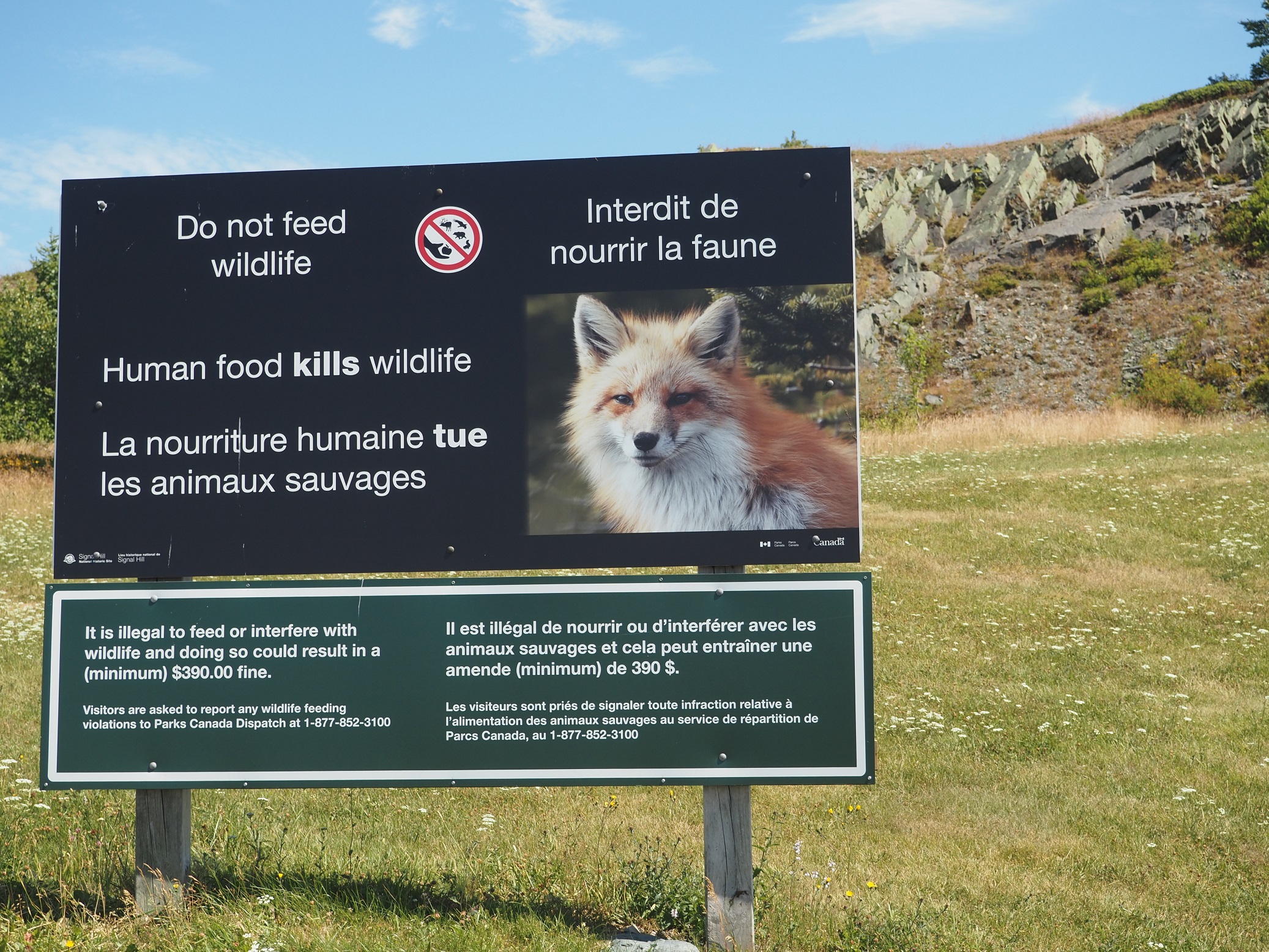 △シグナルヒルのふもとにあったキツネの写真を載せた野生動物への餌やりを警告する看板（７月、筆者撮影）