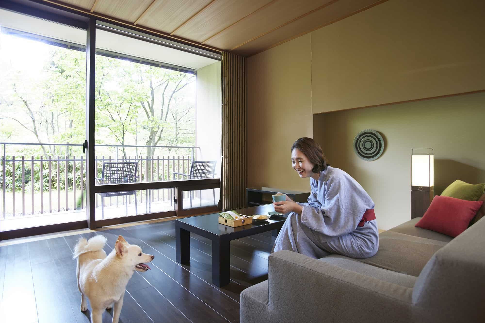 星野リゾートが犬と泊まれるホテル 旅館を9施設から46施設に拡大 Risvel