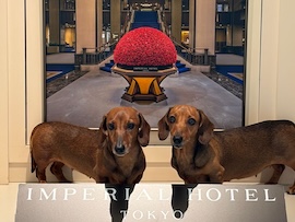 帝国ホテルでは犬もゲスト